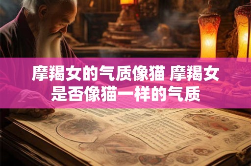 摩羯女的气质像猫 摩羯女是否像猫一样的气质