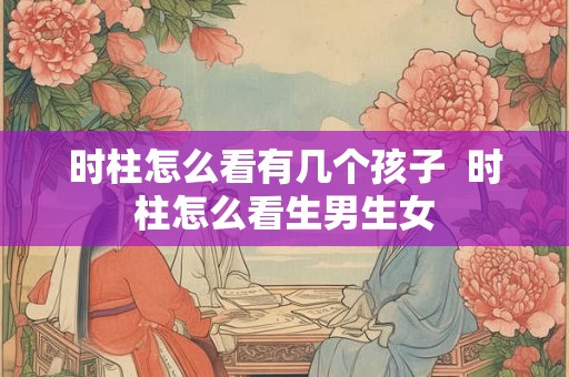 时柱怎么看有几个孩子  时柱怎么看生男生女