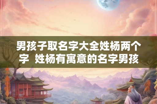 男孩子取名字大全姓杨两个字  姓杨有寓意的名字男孩