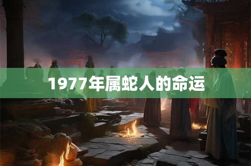 1977年属蛇人的命运 1977年属蛇人的命运