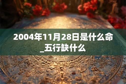2004年11月28日是什么命_五行缺什么