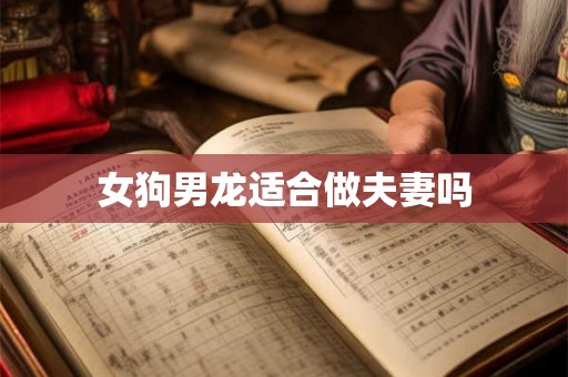 女狗男龙适合做夫妻吗