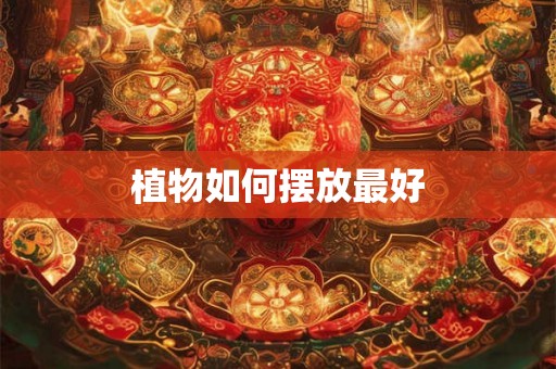 植物如何摆放最好