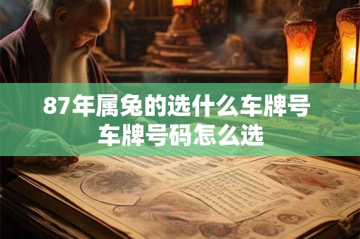 87年属兔的选什么车牌号 车牌号码怎么选 87年属兔的选什么车牌号 车牌号码怎么选