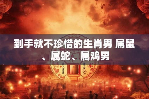 到手就不珍惜的生肖男 属鼠、属蛇、属鸡男