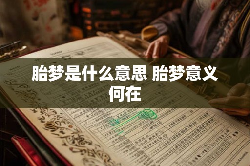 胎梦是什么意思 胎梦意义何在 胎梦是什么意思 胎梦意义何在