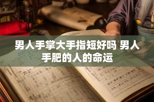 男人手掌大手指短好吗 男人手肥的人的命运