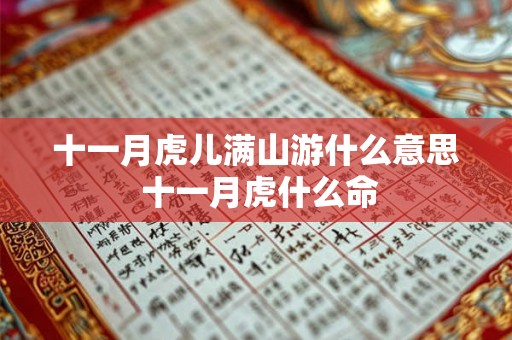 十一月虎儿满山游什么意思 十一月虎什么命