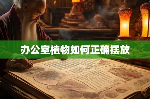 办公室植物如何正确摆放