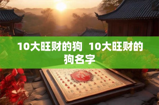 10大旺财的狗  10大旺财的狗名字