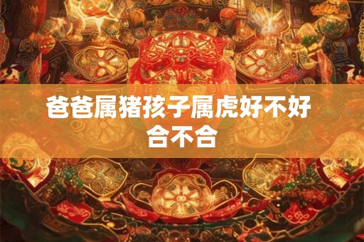 爸爸属猪孩子属虎好不好 合不合