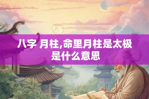 八字 月柱,命里月柱是太极 是什么意思