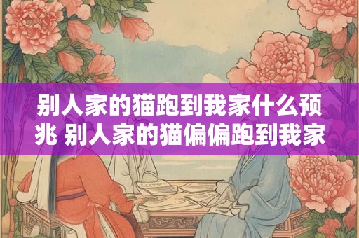 别人家的猫跑到我家什么预兆 别人家的猫偏偏跑到我家是什么原因