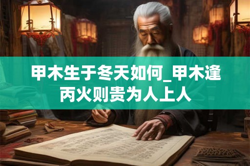 甲木生于冬天如何_甲木逢丙火则贵为人上人