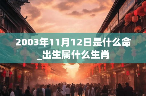 2003年11月12日是什么命_出生属什么生肖
