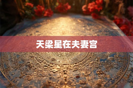 天梁星在夫妻宫