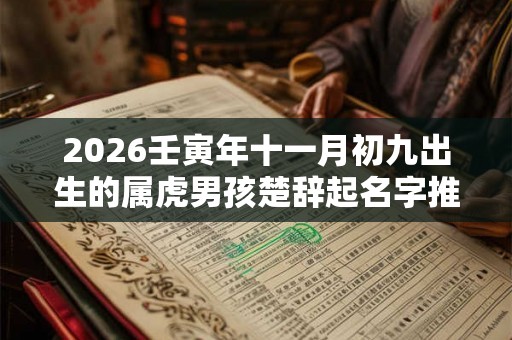 2026壬寅年十一月初九出生的属虎男孩楚辞起名字推荐