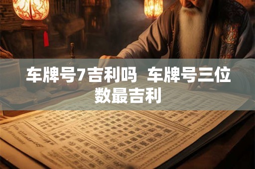 车牌号7吉利吗  车牌号三位数最吉利