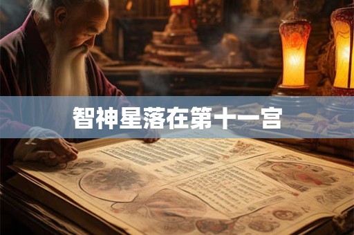 智神星落在第十一宫