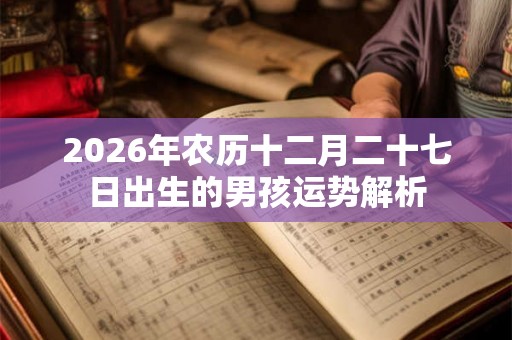 2026年农历十二月二十七日出生的男孩运势解析