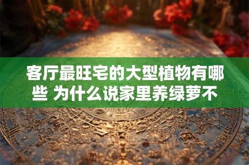 客厅最旺宅的大型植物有哪些 为什么说家里养绿萝不吉利