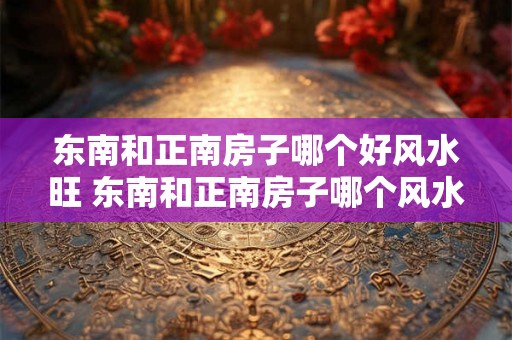 东南和正南房子哪个好风水旺 东南和正南房子哪个风水更旺