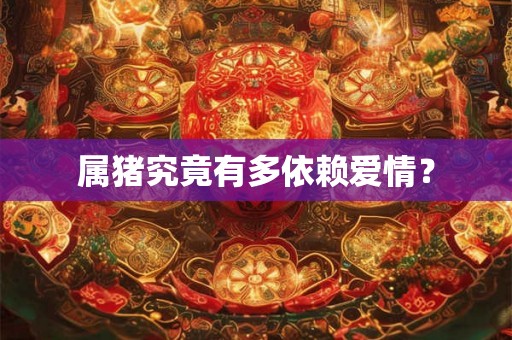 属猪究竟有多依赖爱情？