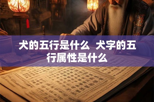 犬的五行是什么  犬字的五行属性是什么
