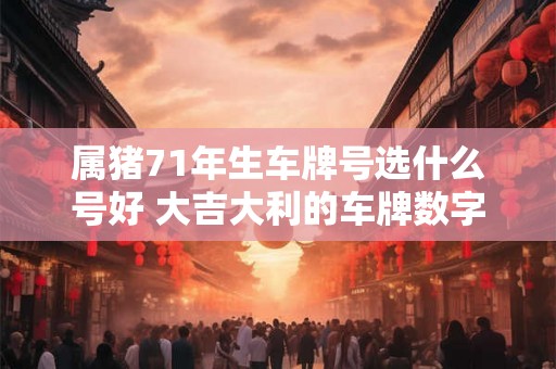 属猪71年生车牌号选什么号好 大吉大利的车牌数字