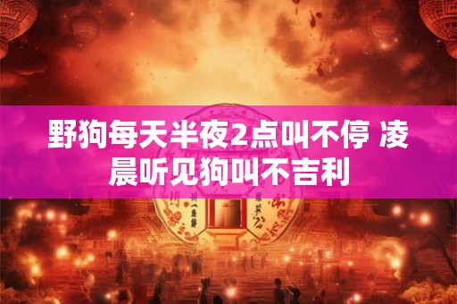 野狗每天半夜2点叫不停 凌晨听见狗叫不吉利 野狗每天半夜2点叫不停 凌晨听见狗叫不吉利
