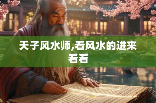 天子风水师,看风水的进来看看