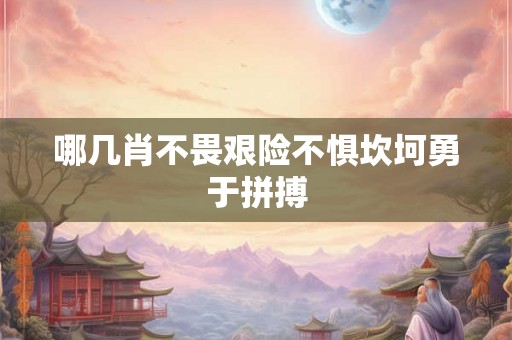 哪几肖不畏艰险不惧坎坷勇于拼搏