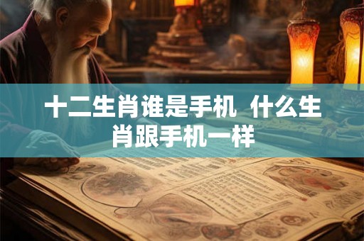 十二生肖谁是手机  什么生肖跟手机一样