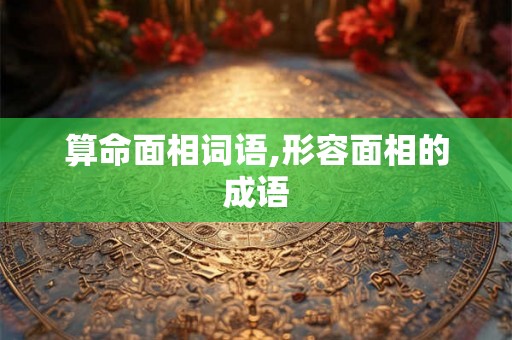 算命面相词语,形容面相的成语