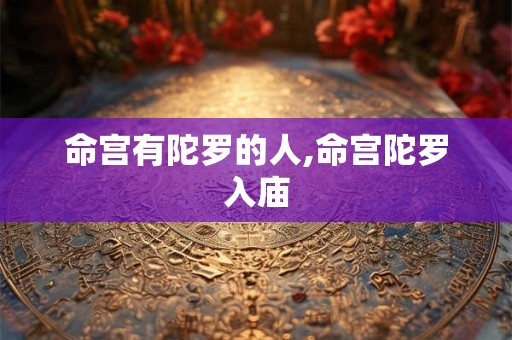 命宫有陀罗的人,命宫陀罗入庙