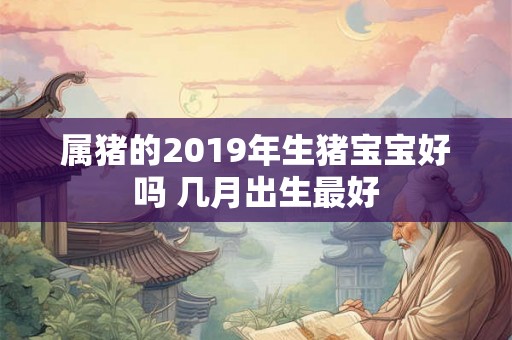 属猪的2019年生猪宝宝好吗 几月出生最好