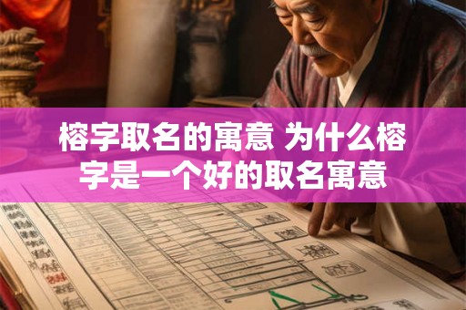 榕字取名的寓意 为什么榕字是一个好的取名寓意