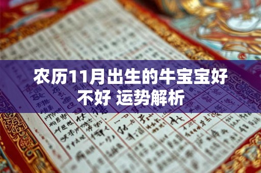 农历11月出生的牛宝宝好不好 运势解析