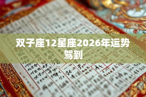 双子座12星座2026年运势驾到