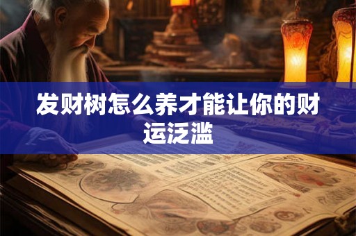 发财树怎么养才能让你的财运泛滥 发财树怎么养才能让你的财运泛滥
