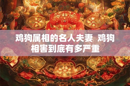 鸡狗属相的名人夫妻  鸡狗相害到底有多严重