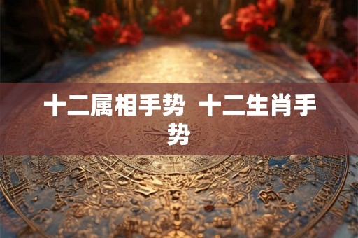 十二属相手势  十二生肖手势