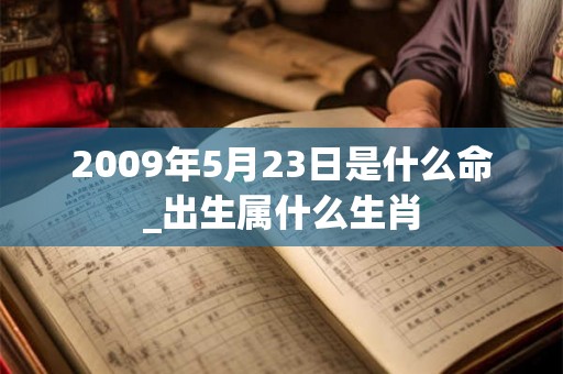 2009年5月23日是什么命_出生属什么生肖