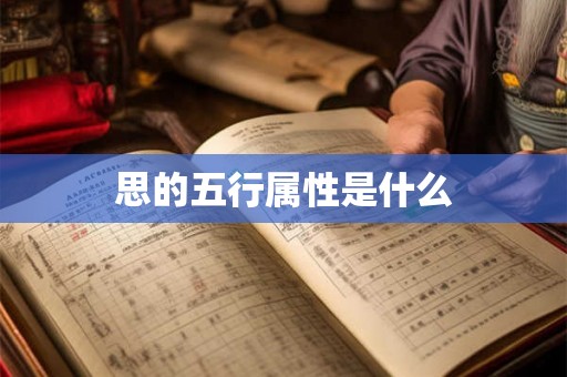 思的五行属性是什么