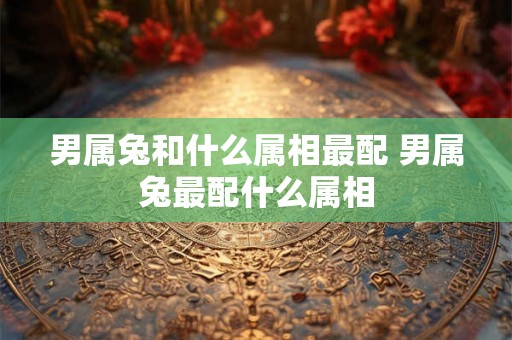 男属兔和什么属相最配 男属兔最配什么属相