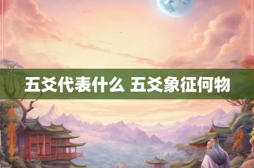 五爻代表什么 五爻象征何物 五爻代表什么 五爻象征何物