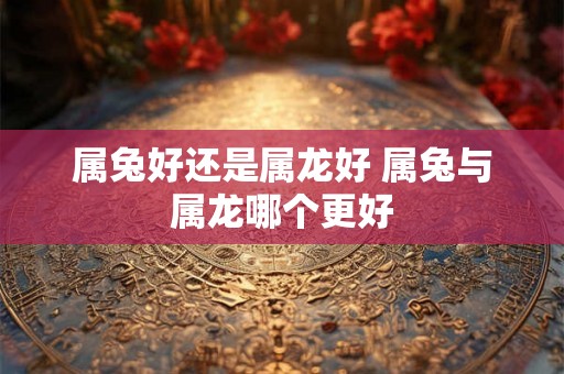 属兔好还是属龙好 属兔与属龙哪个更好