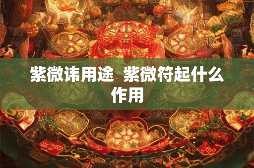 紫微讳用途  紫微符起什么作用