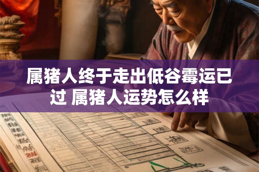 属猪人终于走出低谷霉运已过 属猪人运势怎么样