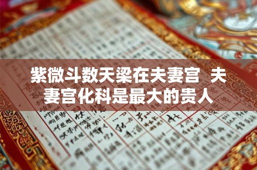 紫微斗数天梁在夫妻宫 夫妻宫化科是最大的贵人 紫微斗数天梁在夫妻宫 夫妻宫化科是最大的贵人